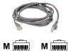 Belkin - Crossover cable - RJ-45 (M) - RJ-45 (M) - 6 m - UTP - ( CAT 5e ) - grey