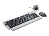 Trust Wireless Optical Deskset DS-3300X - Keyboard - wireless - RF - mouse - USB / PS/2 wireless receiver