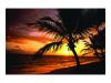 Fellowes Palm Moods - Mouse pad