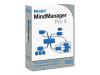 MindManager Pro - ( v. 6 ) - complete package - 1 user - Win - French