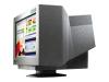 EIZO FlexScan T 561 - Display - CRT - 17