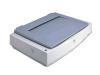 Epson Expression 1640XL - Flatbed scanner - A3 Plus - 1600 dpi x 3200 dpi - Fast SCSI / USB