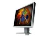 EIZO FlexScan S2100 - LCD display - TFT - 21.3