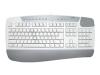 A4Tech A-Shape Nature Multimedia Keyboard KBS-8 - Keyboard - PS/2 - Norway