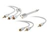 Belkin Cable Kit for Portable Music Players - Audio cable kit - RCA, mini-phone 3.5mm - RCA, mini-phone 3.5mm