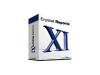 Crystal Reports XI Developer Edition Solution Suite - Complete package - 1 user - Win