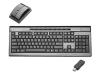 Samsung Pleomax Zen PCK-8000 - Keyboard - wireless - mouse - USB wireless receiver