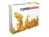 Crystal Xcelsius Standard - ( v. 4.5 ) - complete package - 1 user - CD - Win - Dutch