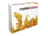 Crystal Xcelsius Professional - ( v. 4.5 ) - complete package - 1 user - CD - Win - Dutch