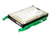 Origin Storage - Hard drive - 250 GB - internal - 3.5