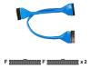 Belkin Round Floppy Dual-Drive Cable - Floppy cable - 34 PIN IDC (F) - 34 PIN IDC (F) - 61 cm - rounded - blue
