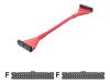 Belkin Round Floppy Single-Drive Cable - Floppy cable - 34 PIN IDC (F) - 34 PIN IDC (F) - 25 cm - rounded - red