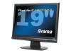Iiyama Pro Lite E1900WS-B1 - LCD display - TFT - 19