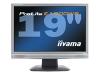 Iiyama Pro Lite E1900WS-S1 - LCD display - TFT - 19