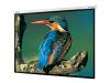 Optoma Panoview GrayWolf II DE-GWII9120E - Projection screen (motorized) - 120 in - 16:9 - grey