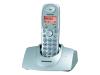 Panasonic KX TG1100NLS - Cordless phone w/ caller ID - DECT - silver