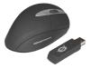 Conceptronic Lounge'n'LOOK Easy Mouse Wireless CLLMEASYWL - Mouse - optical - 5 button(s) - wireless - USB wireless receiver