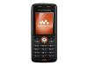 Sony Ericsson W200i Walkman - Cellular phone with digital camera / digital player / FM radio - GSM - rythm black
