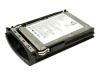 Origin Storage - Hard drive - 300 GB - hot-swap - SCSI - 80 pin Centronics (SCA-2) - 10000 rpm