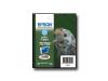 Epson T0795 - Print cartridge - 1 x light cyan - 540 pages