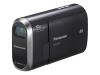 Panasonic SDR-S10EG-K - Camcorder - Widescreen Video Capture - 800 Kpix - optical zoom: 10 x - supported memory: MMC, SD, SDHC - flash card - black