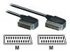Philips SWV2541W - Video / audio cable - SCART (M) - SCART (M) - 3 m - shielded