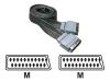 Philips SWV2542W - Video / audio cable - SCART (M) - SCART (M) - 1.5 m - shielded