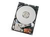 Hitachi Travelstar E5K160 - Hard drive - 120 GB - internal - 2.5