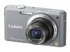 Panasonic Lumix DMC-FX100E-S - Digital camera - compact - 12.0 Mpix - optical zoom: 3.6 x - supported memory: MMC, SD, SDHC - silver