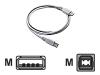 HP - USB cable - 4 PIN USB Type A (M) - 4 PIN USB Type B (M) - 1.8 m