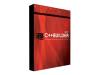 C++Builder 2007 Professional - ( v. 2 ) - complete package - 1 user - DVD - Win