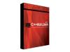 C++Builder 2007 Professional - Upgrade package - 1 user - upgrade from Borland C++Builder/Borland Developer Studio - DVD - Win
