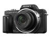 Sony Cyber-shot DSC-H3B - Digital camera - compact - 8.1 Mpix - optical zoom: 10 x - supported memory: MS Duo, MS PRO Duo - black