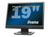 Iiyama Pro Lite E1902WSV-B1 - LCD display - TFT - 19