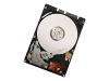 Hitachi Travelstar E5K250 - Hard drive - 120 GB - internal - 2.5