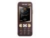 Sony Ericsson W890i Walkman - Cellular phone with two digital cameras / digital player / FM radio - WCDMA (UMTS) / GSM - mocha brown