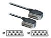 Philips SWV2541T - Video / audio cable - SCART (M) - SCART (M) - 3 m - shielded