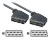 Philips MWV2543T - Video / audio cable - SCART (M) - SCART (M) - 3 m - shielded