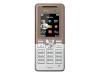 Sony Ericsson T280i - Cellular phone with digital camera / FM radio - GSM - copper on silver