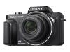Sony Cyber-shot DSC-H10 - Digital camera - compact - 8.1 Mpix - optical zoom: 10 x - supported memory: MS Duo, MS PRO Duo, MS PRO-HG Duo - black