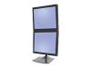 Ergotron DeskStand DS100 - Stand for dual flat panel - aluminium, steel - black - screen size: up to 24
