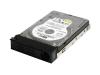 Cisco Small Business - Hard drive - 250 GB - removable - 3.5
