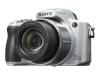 Sony Cyber-shot DSC-H50S - Digital camera - compact - 9.1 Mpix - optical zoom: 15 x - supported memory: MS Duo, MS PRO Duo, MS PRO-HG Duo - silver