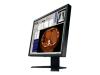 EIZO FlexScan S1910-M - LCD display - 1MP - colour - TFT - 19