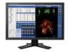 EIZO FlexScan MX 240W - LCD display - 2.3MP - colour - TFT - 24.1