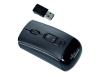 Fujitsu Presenter Mouse PM1200 - Mouse - optical - 2 button(s) - wireless - USB wireless receiver