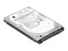 Lenovo ThinkPad - Hard drive - 320 GB - internal - 2.5
