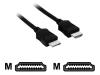 V7 - Video / audio cable - HDMI - 19 pin HDMI (M) - 19 pin HDMI (M) - 1 m - black