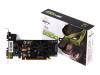 XFX GeForce 8300 GS Standard - Graphics adapter - GF 8300 GS - PCI Express 2.0 x16 low profile - 256 MB DDR2 - Digital Visual Interface (DVI) ( HDCP )