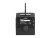 TerraTec NOXON iRadio Cube - Network audio player / clock radio - piano black